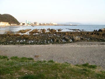 Nagase ( 長瀬)