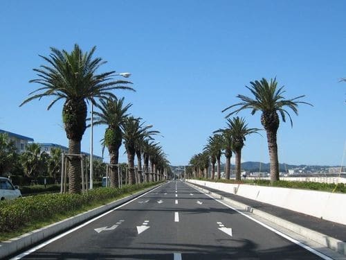 Uragamidai (浦上台)