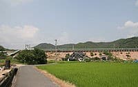 Hiwa
