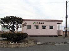 Hama-taura