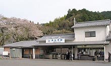 Hasedera