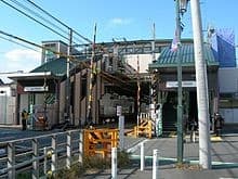 Tama-reien