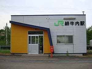 Hiushinai