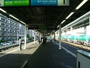 Negishi