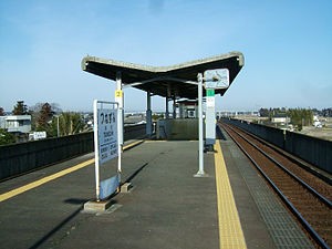 Tsunezumi