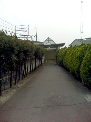Sakogi