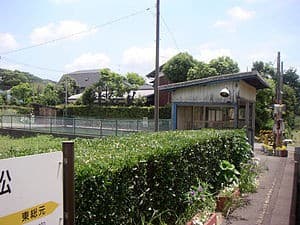 Koyamatsu