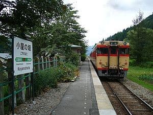 Koyanohata