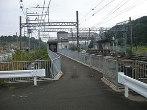 Shiraki