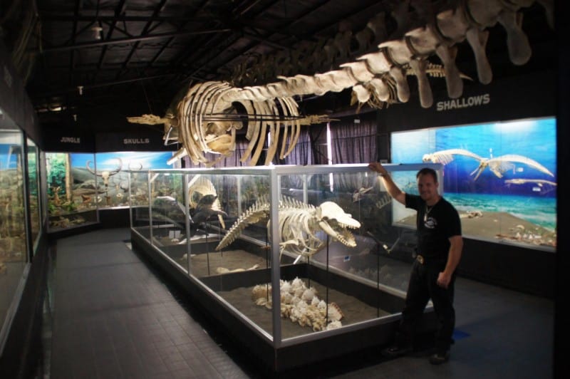 D'Bone Collector Museum