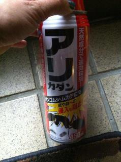 Insect Spray