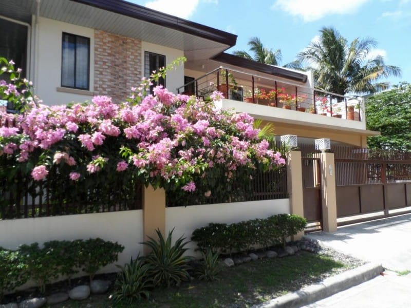 Continents Bed and Breakfast