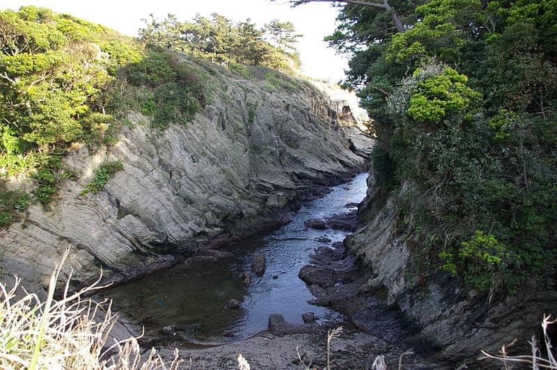 Arasaki Park