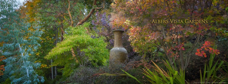 Albers Vista Gardens