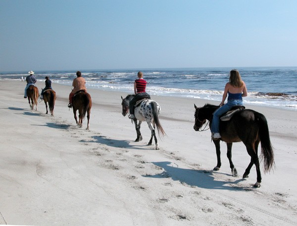 Amelia Island State Park - Jacksonville