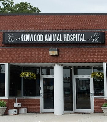 VCA Lake Ridge Animal Hospital