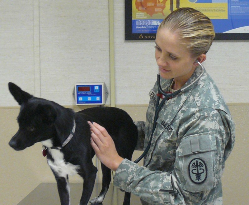 Norfolk Naval Station Veterinary Activity
