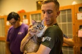 Camp Foster Veterinary Clinic