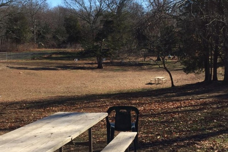 The Copp Family Park