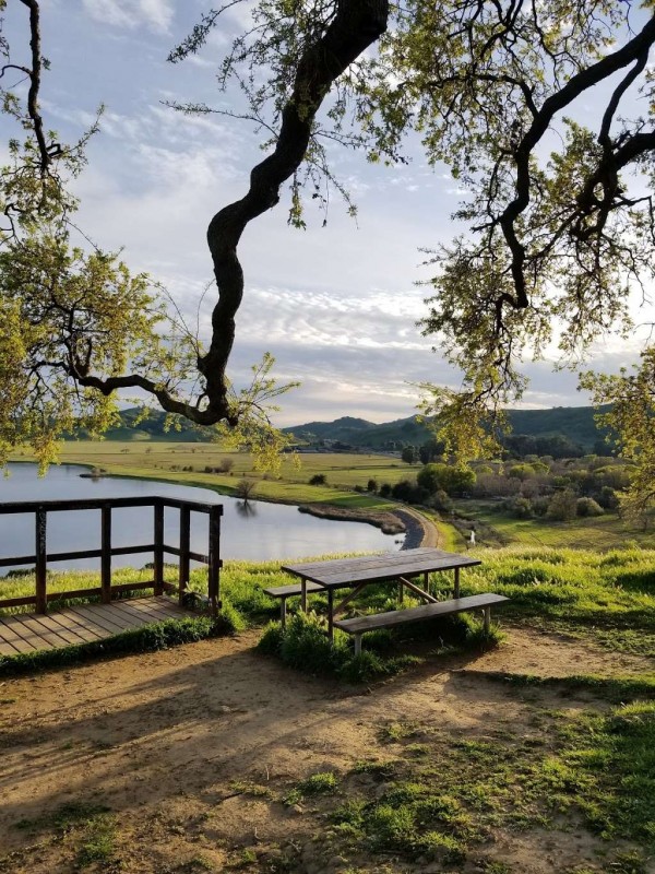 Lagoon Valley/Pena Adobe Regional Park