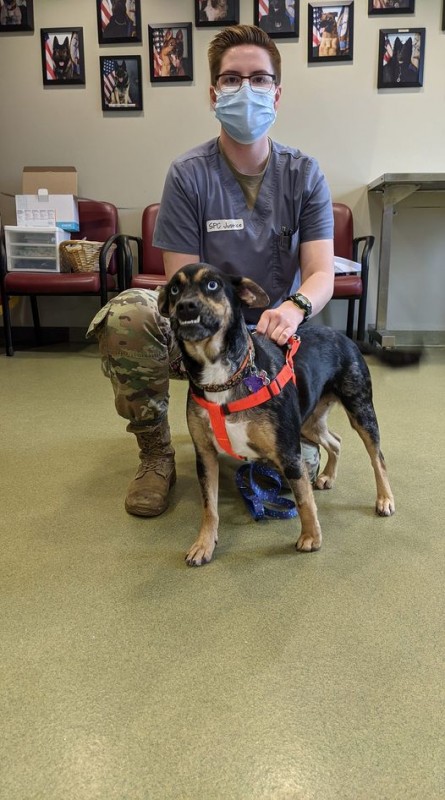 Veterinary Treatment Facility - NSB New London