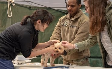 Veterinary Clinic - NAS Jacksonville