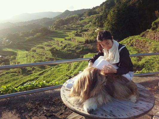 Dog Beauty Salon Pochi
