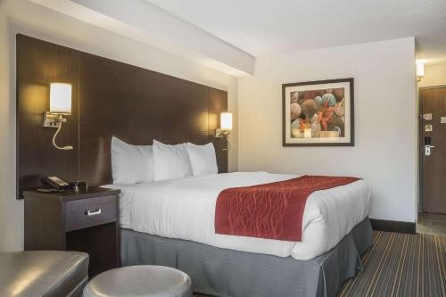 Quality Inn - Kingsville