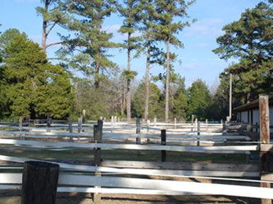 Magnolia Riding Stables-Columbus AFB