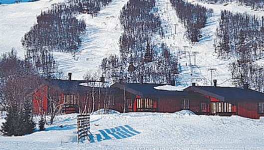 Fjäll-lien