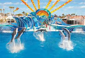 Splish Splash San Diego