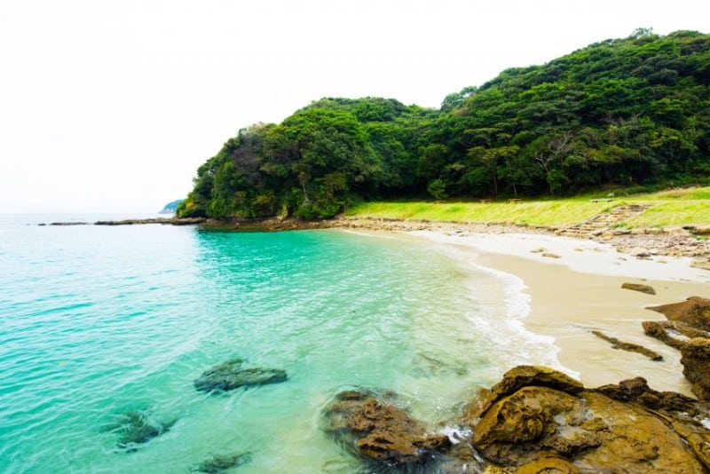 The 8th Takashima Island Dot-koi (Come Together) Festival