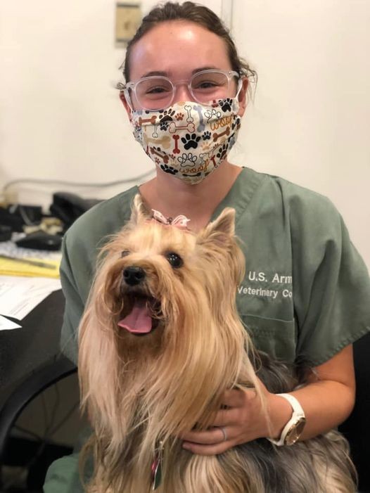 Manhattan Veterinary Hospital