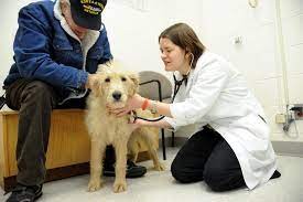 Veterinary Treatment Facility - Ellsworth AFB