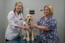 Veterinary Treatment Facility- Scott AFB