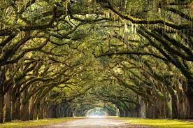 Wormsloe Historic Site