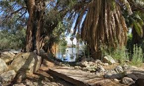 Yuma Conservation Garden