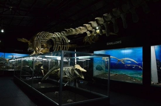 Davao Museum