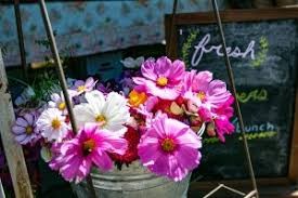 Anacortes Farmers Market