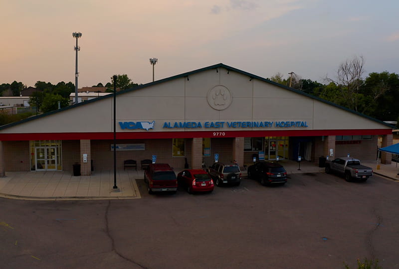 VCA Alameda East Veterinary Hospital
