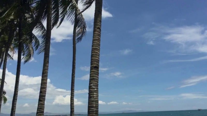 Buenavista