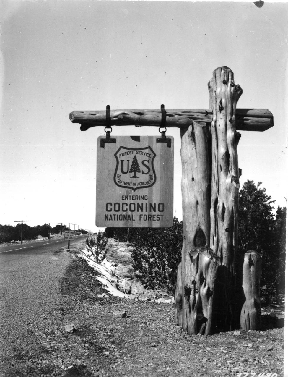 Coconino National Forest
