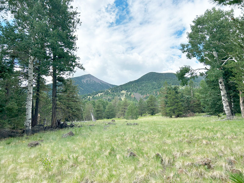 Kachina Trail - San Francisco Peaks
