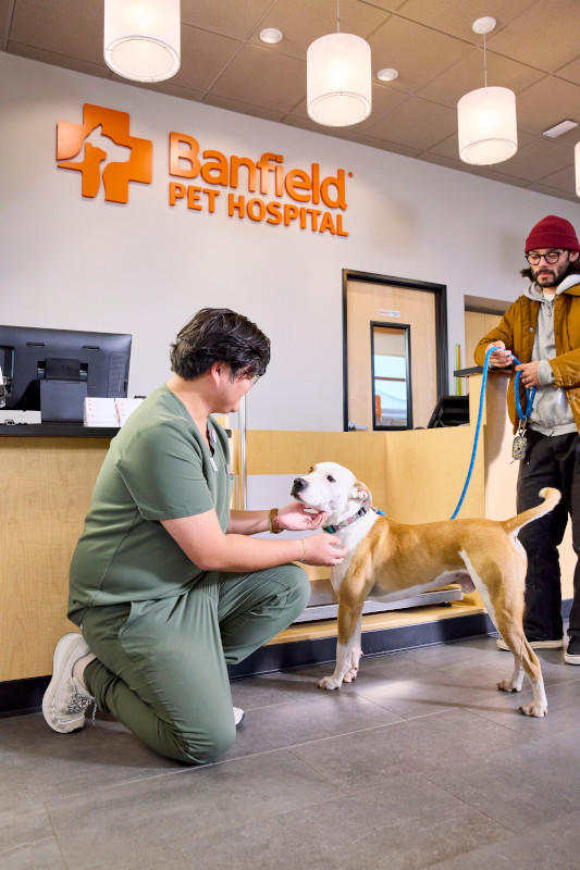 Banfield Pet Hospital - Tucson