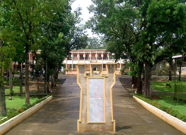 Dumalinao