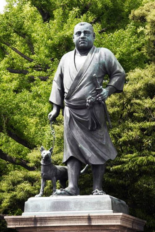 Eboshi Dog Park