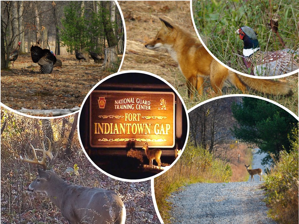 Fort Indiantown Gap Outdoor Recreation
