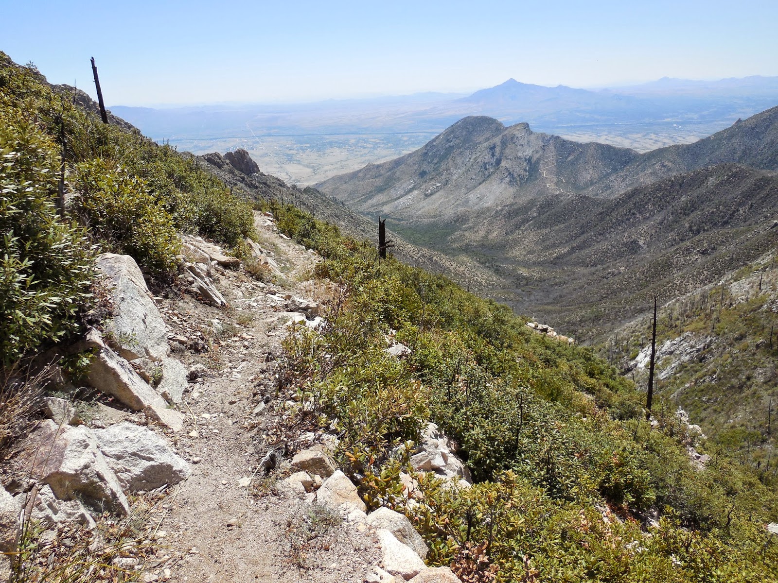 Huachuca Mountains Hiking
