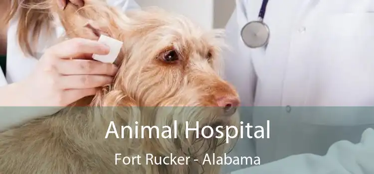 Veterinary Clinic