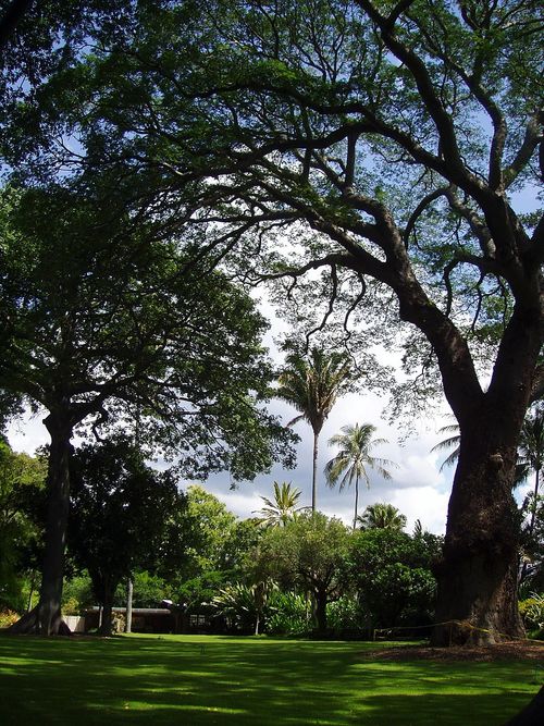 Foster Botanical Garden